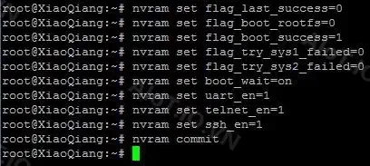 Command after OPENSSH